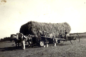 huettmesgruen_feldarbeit_damals.jpg