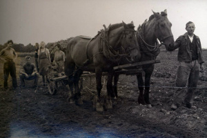 huettmesgruen_warta_transport_damals.jpg